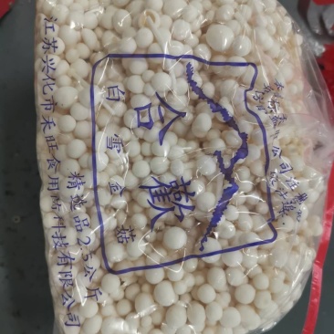 金针菇价格美丽，寻求合作