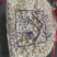 金针菇价格美丽，寻求合作
