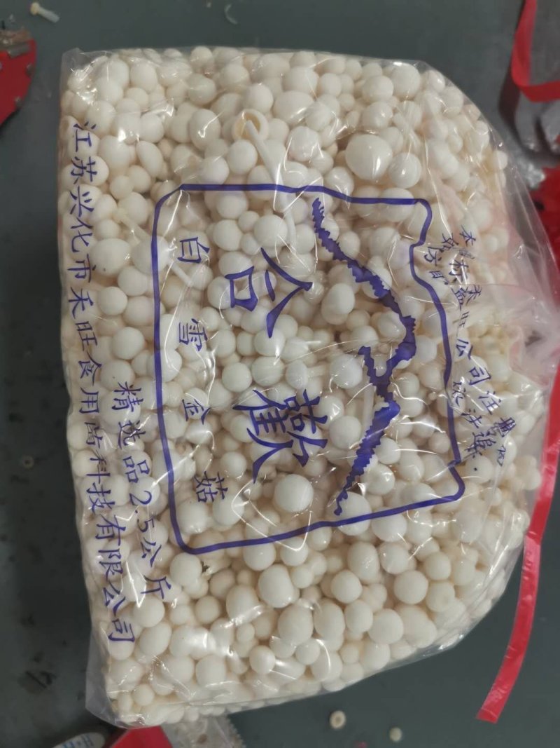 金针菇价格美丽，寻求合作