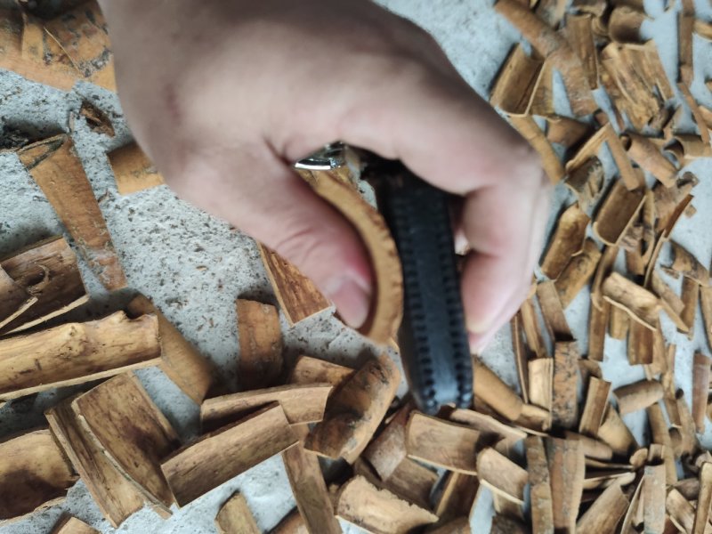 桂皮原产地一手货无硫无霉精选