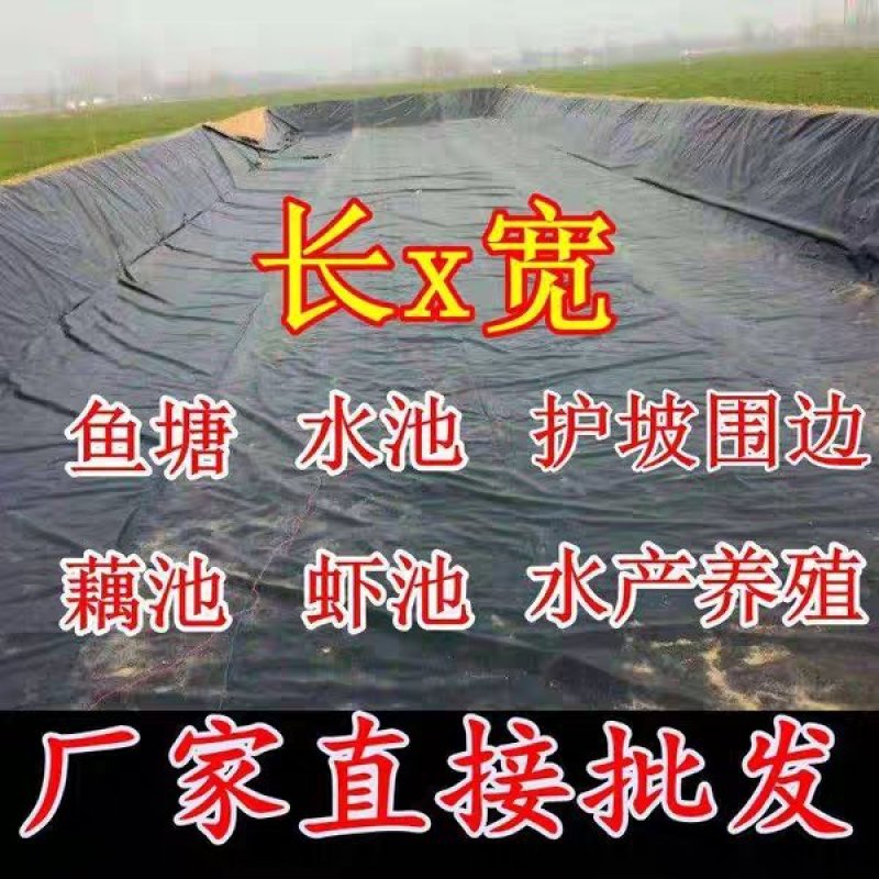 鱼塘藕塘防渗膜水池防渗膜虾塘防渗膜土工膜