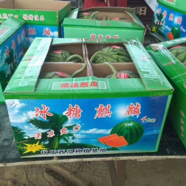 精选无籽美都西瓜，口感甜，质量好，各批发市场，电商，超市