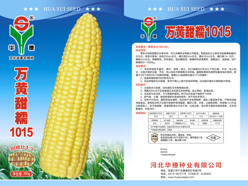 华穗大棒型黄甜糯黄糯玉米种子万糯公司种子