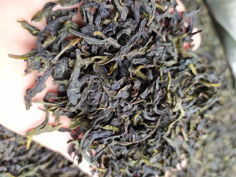 鸭屎香单枞茶潮州凤凰单丛茶清香鸭屎香单枞茶1斤1袋大乌叶