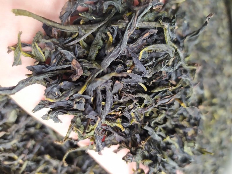 鸭屎香单枞茶潮州凤凰单丛茶清香鸭屎香单枞茶1斤1袋大乌叶
