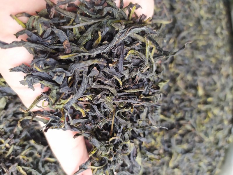 鸭屎香单枞茶潮州凤凰单丛茶清香鸭屎香单枞茶1斤1袋大乌叶