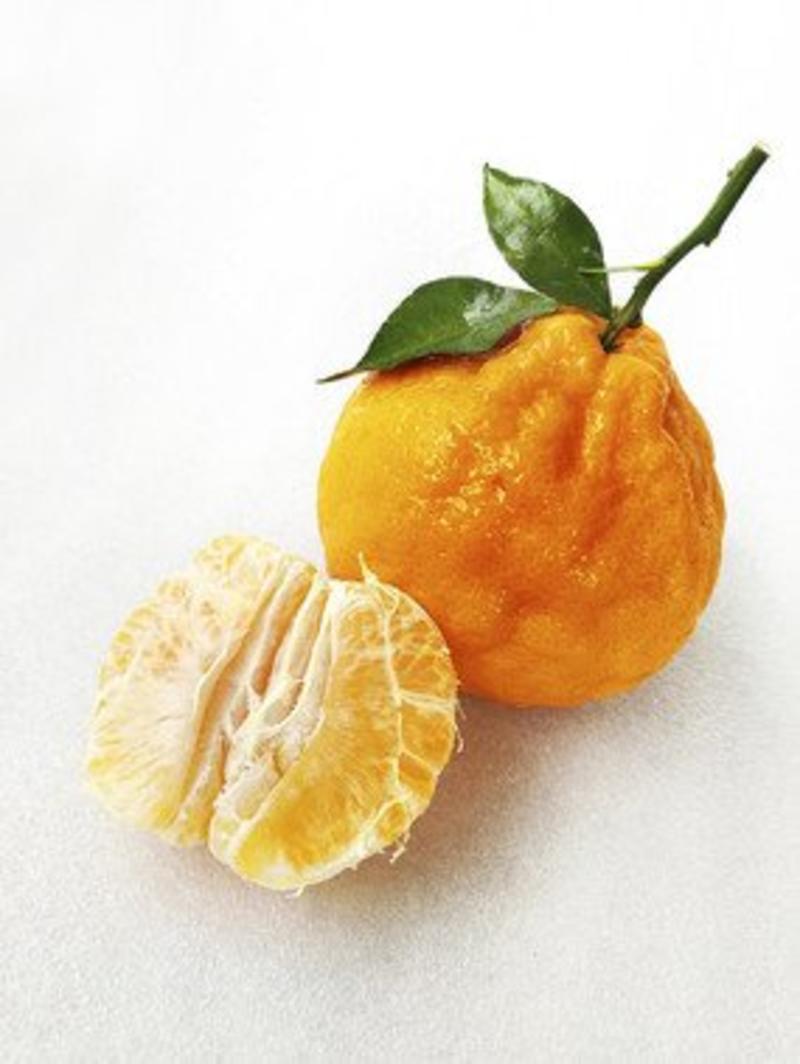 丑橘不知火柑橘