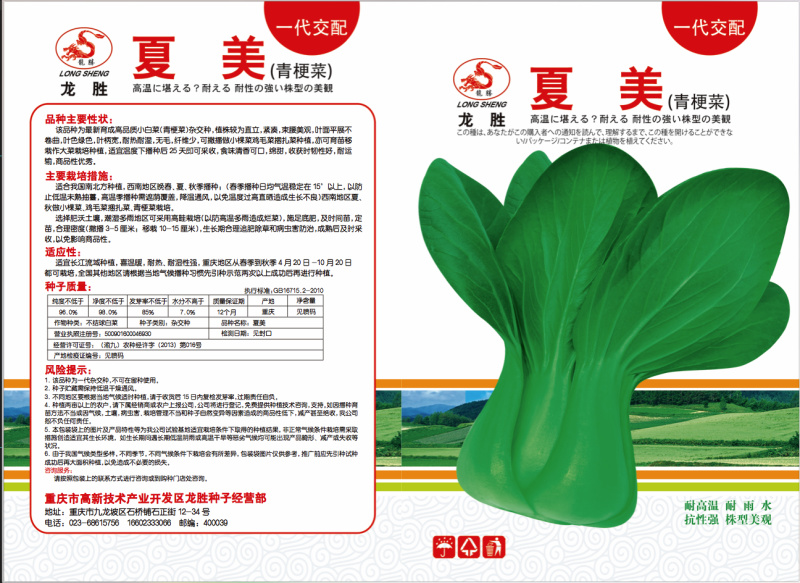 【🔥白菜种子】耐热耐雨水的白菜种子飘儿白菜10克