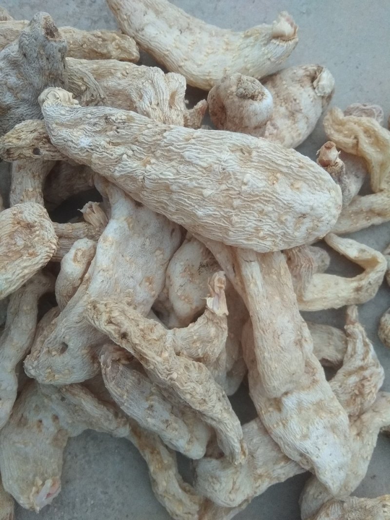 天麻