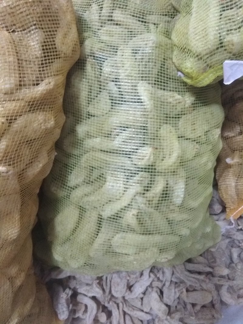 天麻