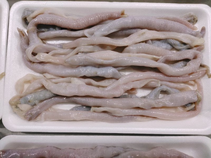 沙虫去沙去脏清洗干净托盘装坐标丹东东港海源水产