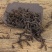 武夷白芽奇兰茶岩茶500g包邮