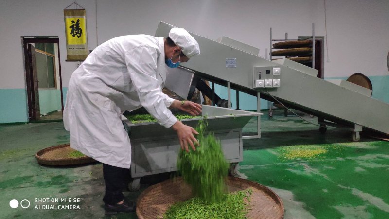 紫阳富硒茶