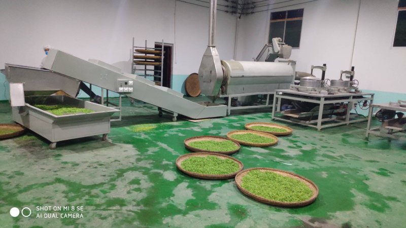 紫阳富硒茶