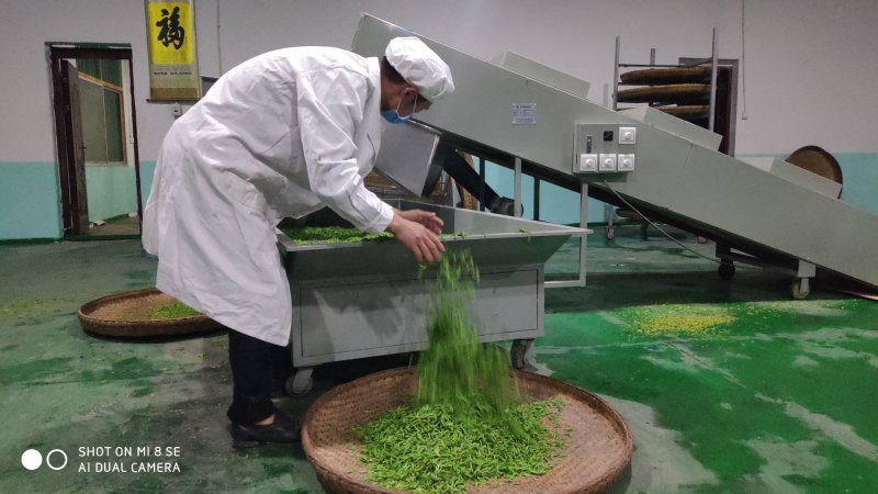 紫阳富硒茶