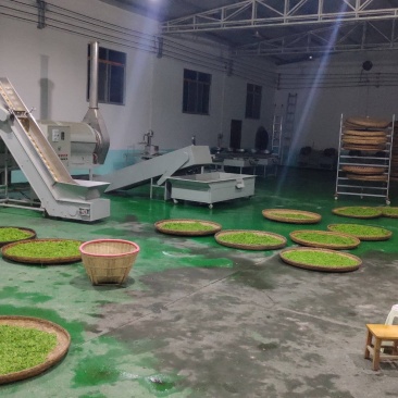 紫阳富硒茶