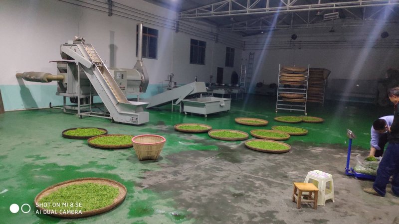 紫阳富硒茶