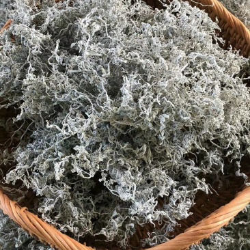张家界莓茶