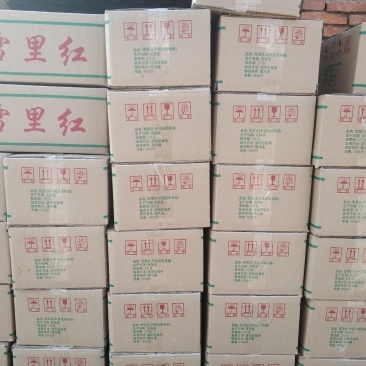 雪里红永不断货