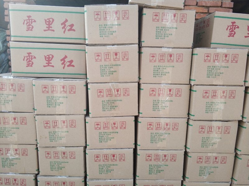 雪里红永不断货