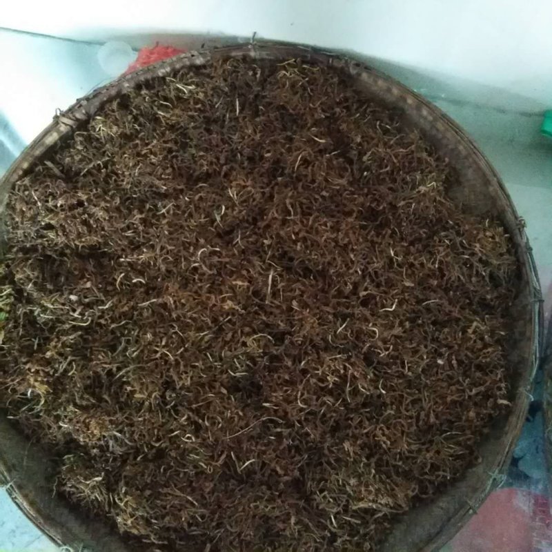 中药材金银花精品干货