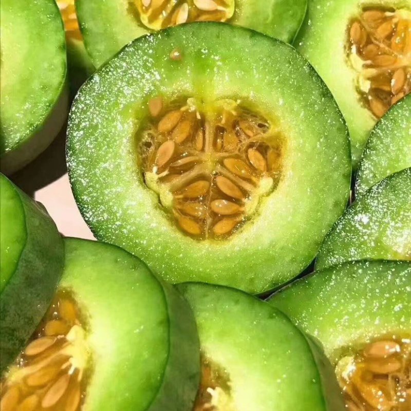 博洋61山东聊城莘县博洋蜜61甜瓜
