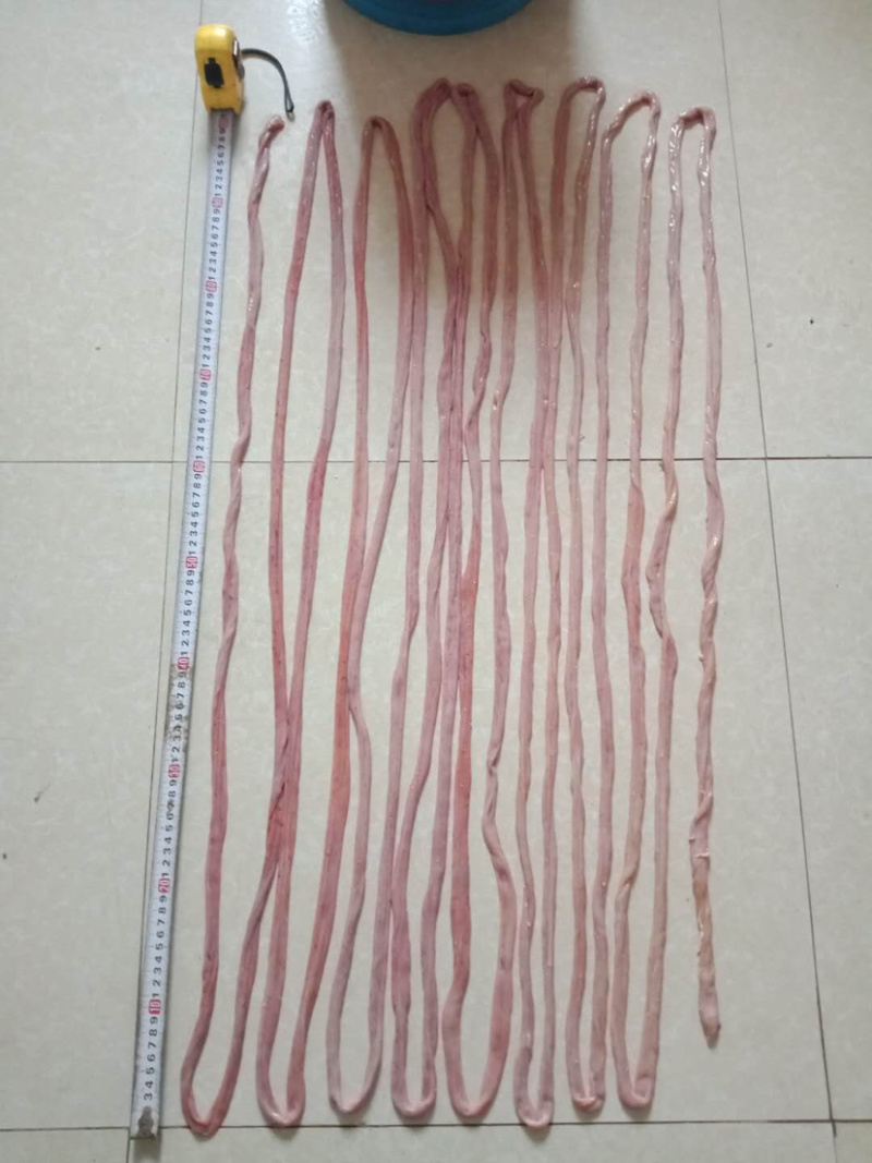 【低价出售】高品质猪小肠医药和熟食可用每天一千条以上供应