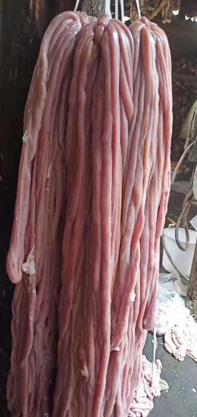 【低价出售】高品质猪小肠医药和熟食可用每天一千条以上供应