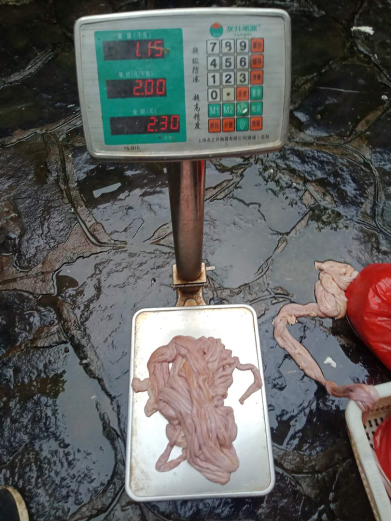 【低价出售】高品质猪小肠医药和熟食可用每天一千条以上供应