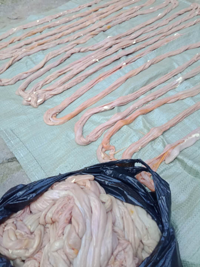 【低价出售】高品质猪小肠医药和熟食可用每天一千条以上供应