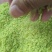 豆虫卵豆丹卵特种养殖