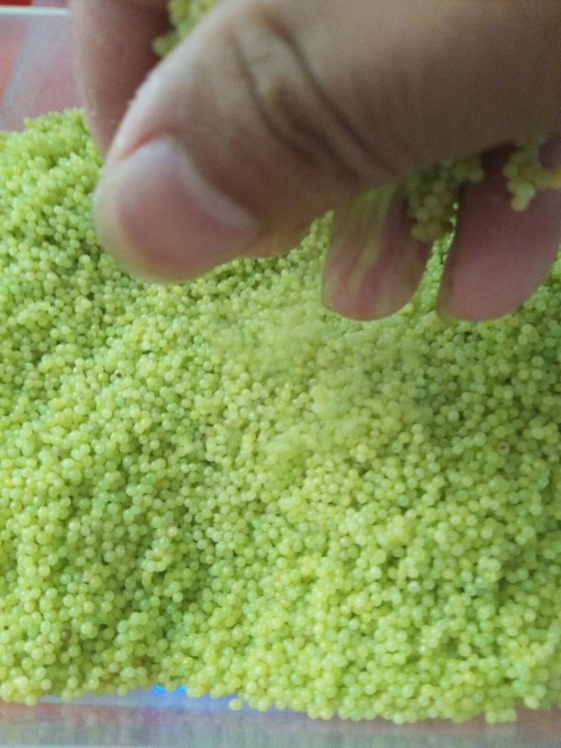 豆虫卵豆丹卵特种养殖