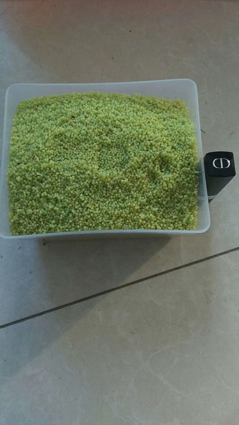 豆虫卵豆丹卵特种养殖
