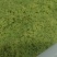 豆虫卵豆丹卵特种养殖