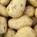 福建漳州龙海土豆，量大从优，价格实惠，货原充足，欢迎咨询！