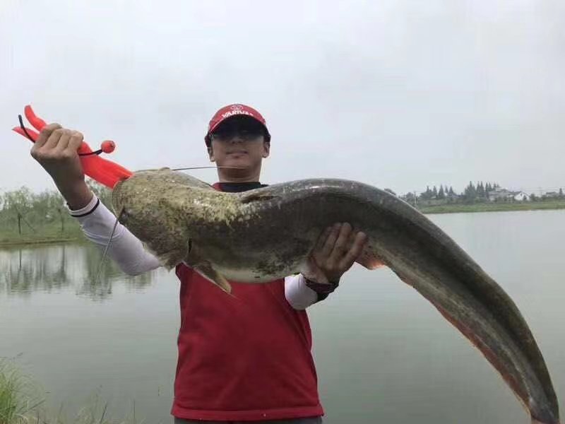 路亚垂钓大口鲶鱼！！！！！！！