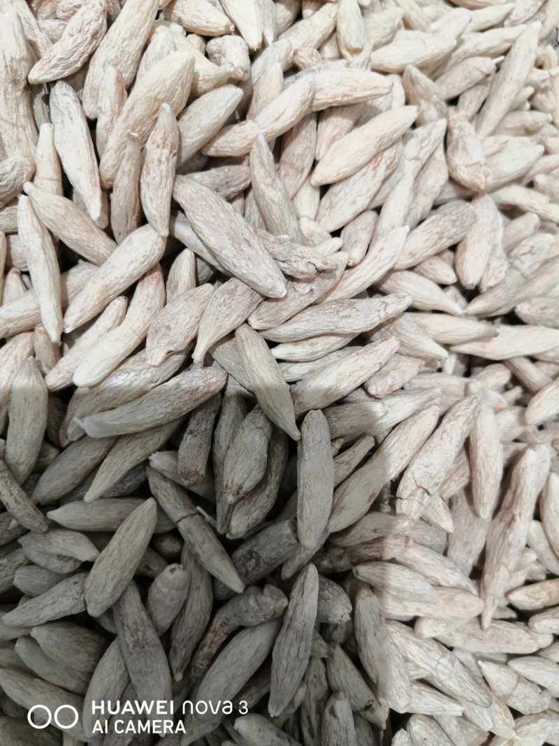 麦冬产中药材！地直销一手货源价格优！量大包邮。