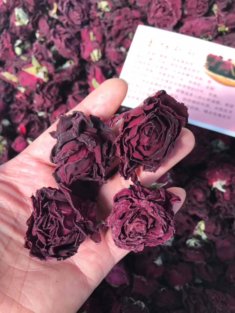 云南墨红玫瑰产地一手货源长期批发量大私聊