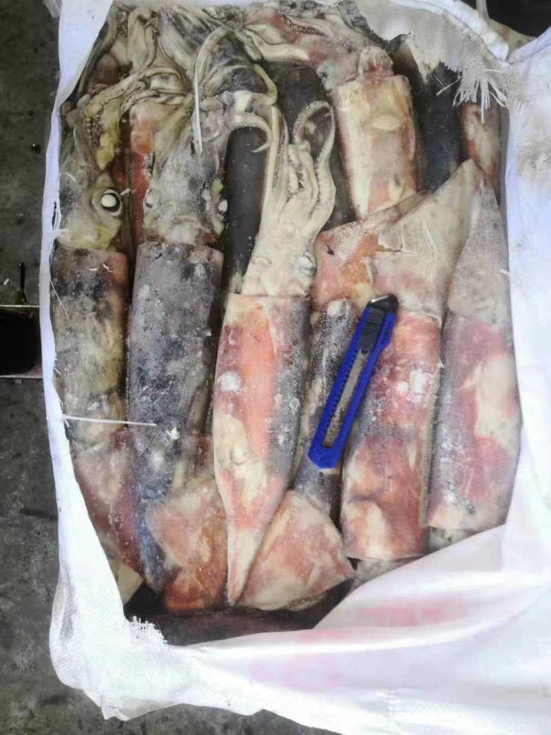 大鱿鱼整只冷冻香辣鱿鱼须海鲜水产批发