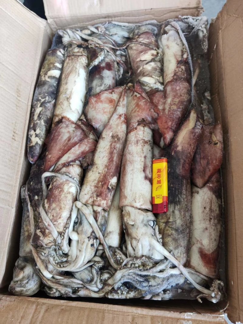 大鱿鱼整只冷冻香辣鱿鱼须海鲜水产批发