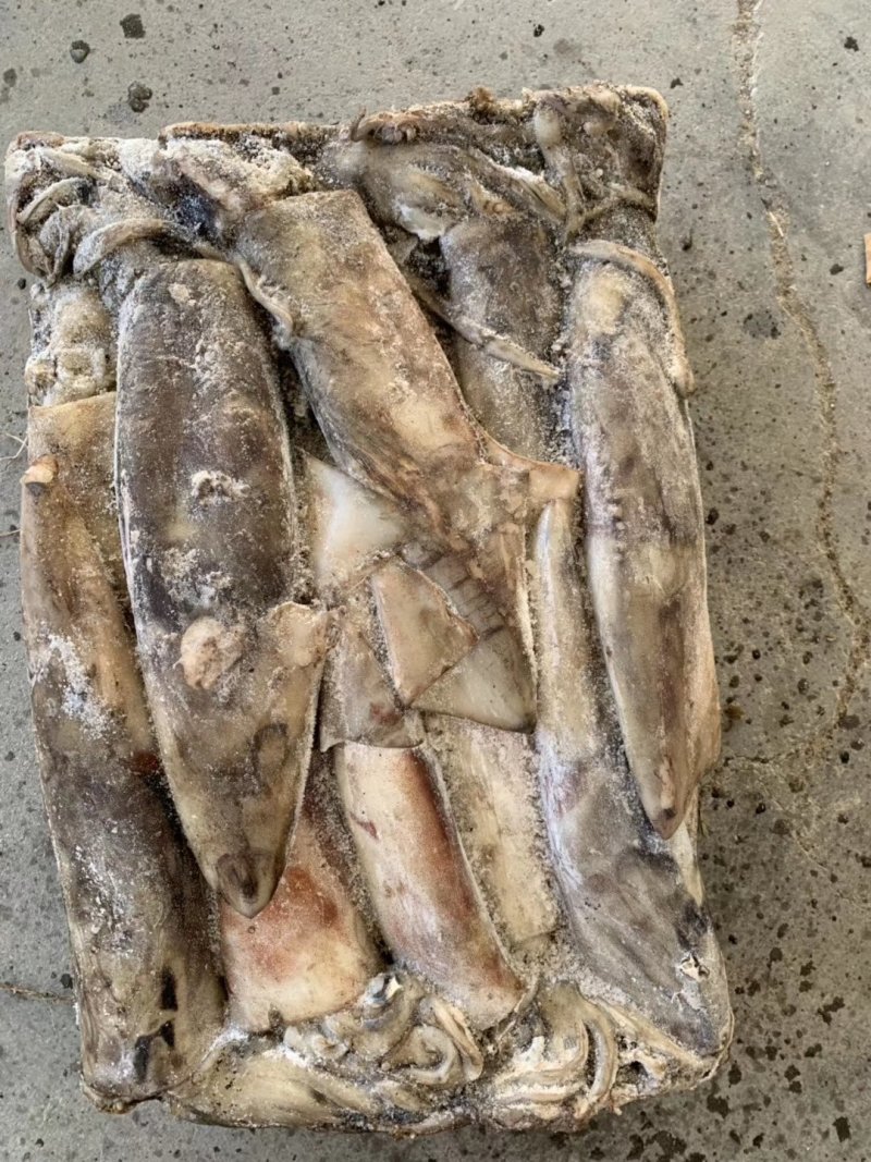 大鱿鱼整只冷冻香辣鱿鱼须海鲜水产批发