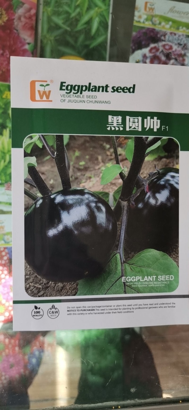 茄子种子圆茄种子