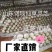 山东冠县灵芝菌棒️️，自产自销，可来我家大棚看货