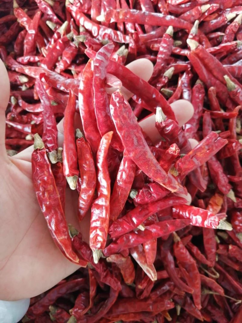 辣椒，红辣椒印度进口S17带帽干红辣椒，高含量，现货供应