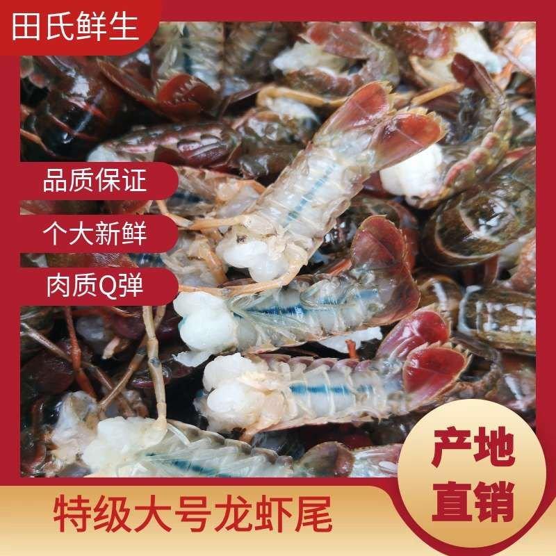 【热销中】新鲜大虾尾60到80粒一斤原产直供质量保证