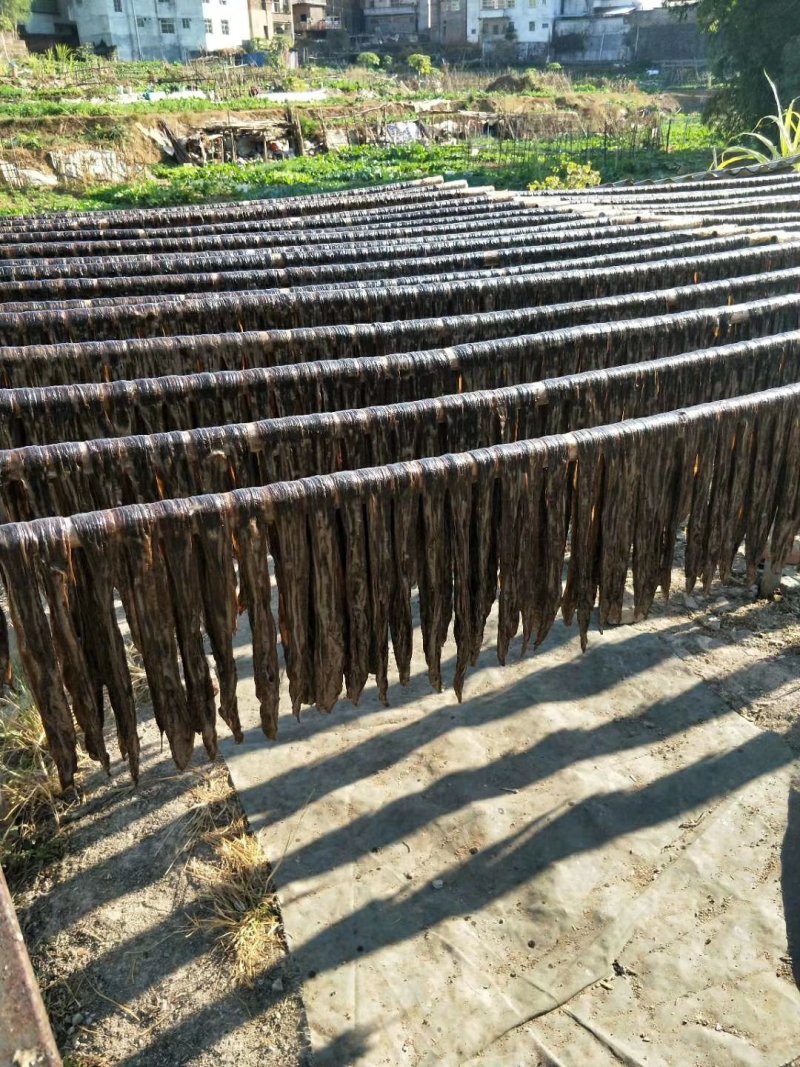 广东河源和平农家黑腐竹纯手工制作，豆腐皮无添大量批发零售