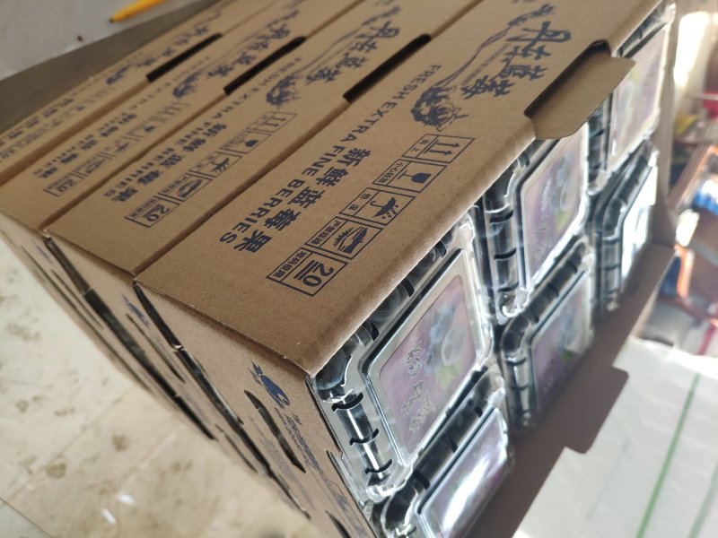 丹东蓝莓代收，批发，一件代发