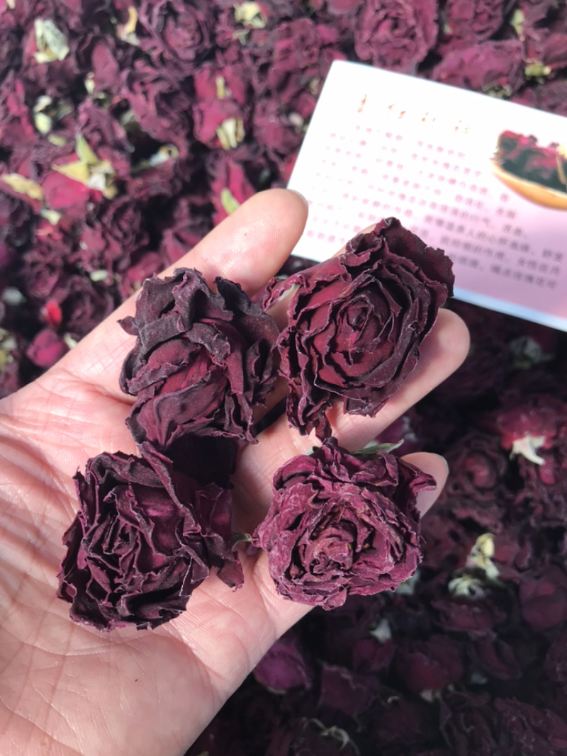 云南墨红玫瑰产地一手货源长期批发量大私聊