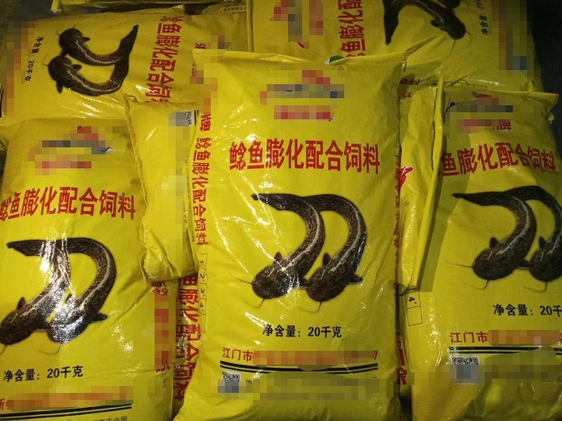 基地直供广东江门市包装饲料养殖花鲶，塘头价。