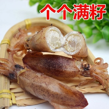 乌贼大乌仔乌籽250克海兔干籽乌墨鱼仔海鲜干货包